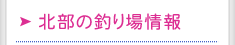 北部の釣り場情報