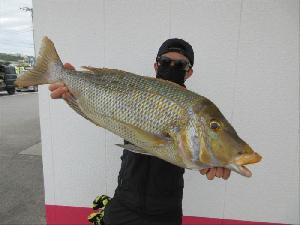 沖縄の釣り 釣果報告[フィッシングステップ具志川店]